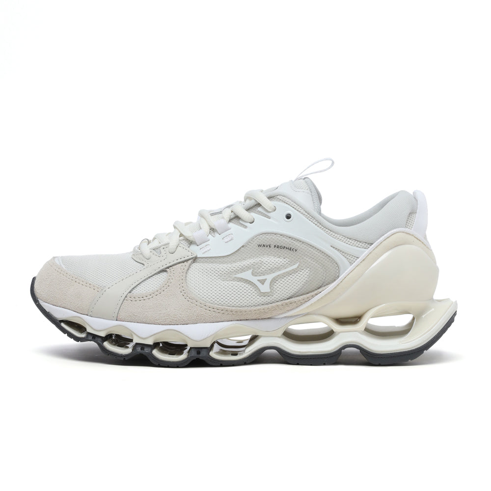 Mizuno wave prophecy 8 price online