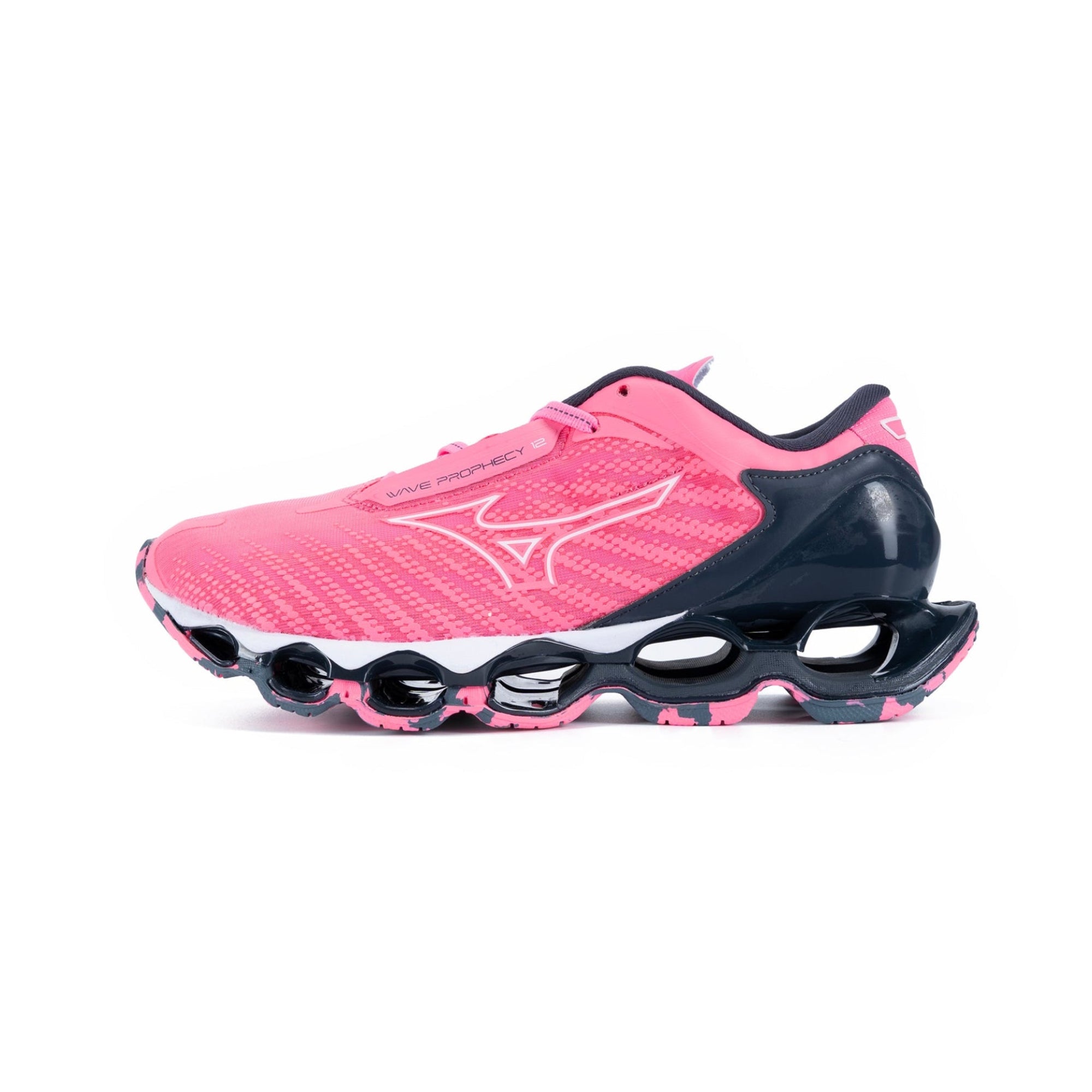 LADIES WAVE PROPHECY 12