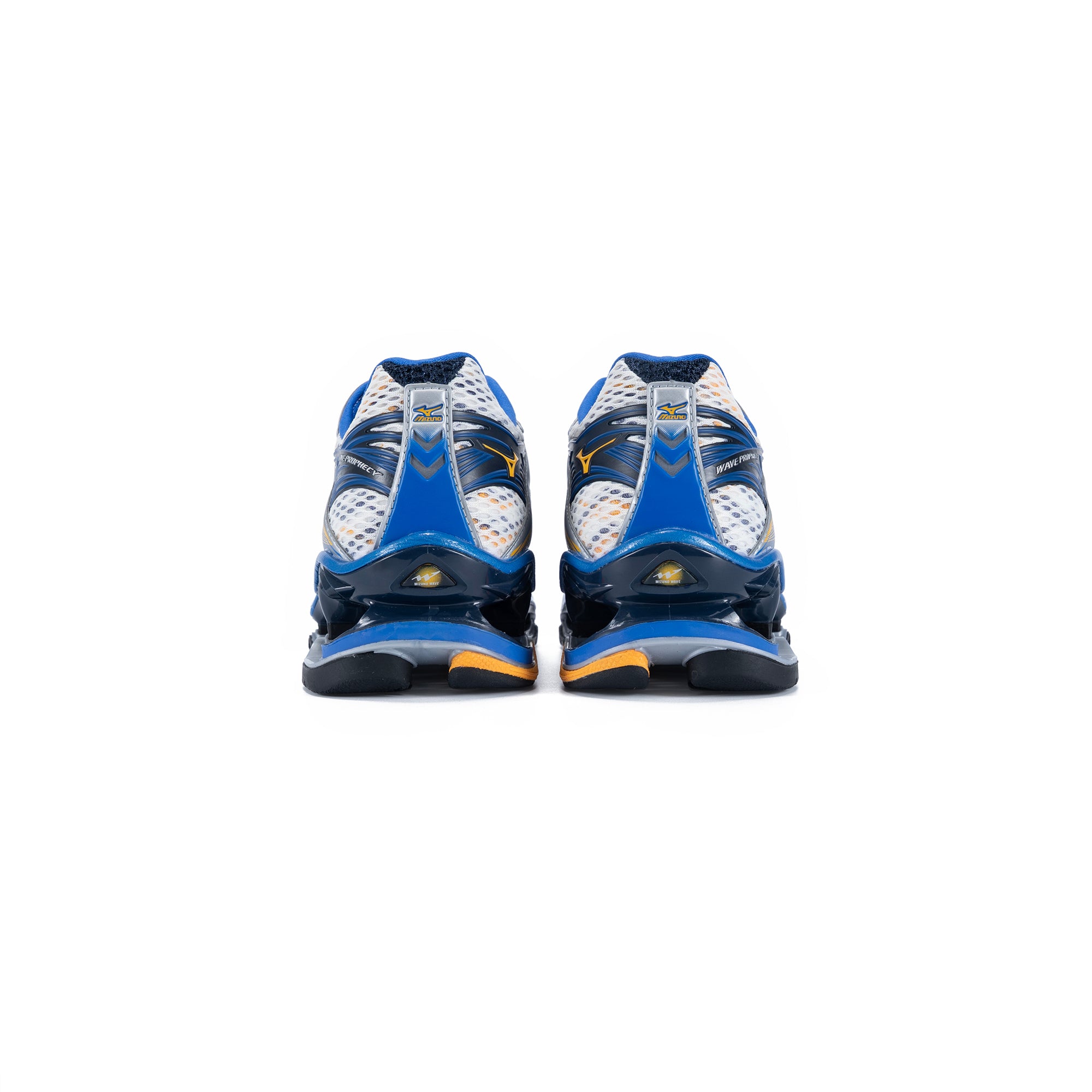 WAVE PROPHECY 1-thumbmail-6
