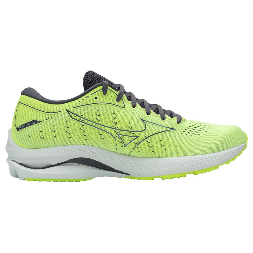 Mizuno wave rider 9 mens online